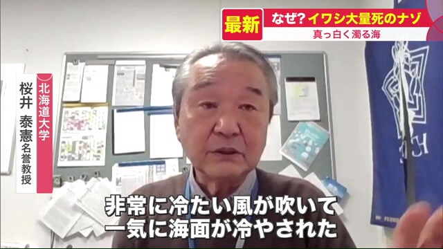 北海道ニュース Uhb Uhb 北海道文化放送