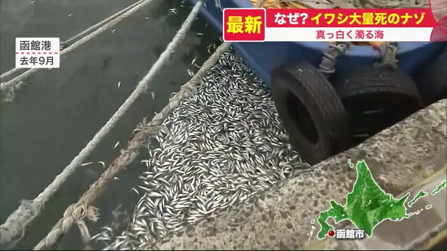 北海道ニュース Uhb Uhb 北海道文化放送 北海道ニュース Uhb Uhb 北海道文化放送