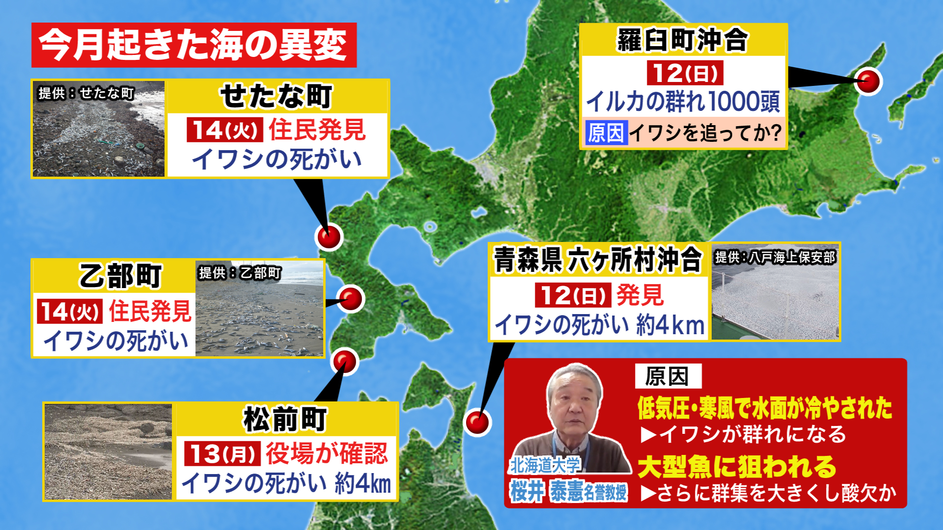 北海道ニュース Uhb Uhb 北海道文化放送 北海道ニュース Uhb Uhb 北海道文化放送