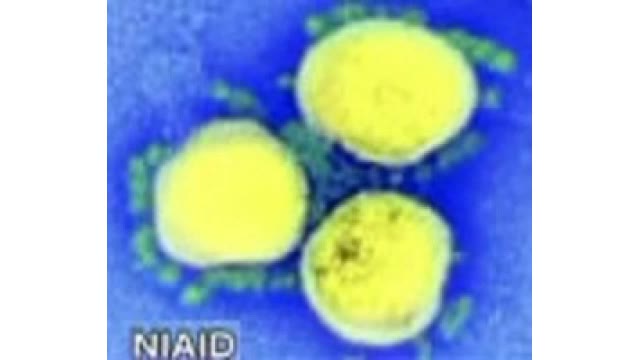KOREA FUN 韓国ドラマ好き~【速報】北海道 11人死亡 1924人感染 27日ぶり2000人下回る【速報】北海道 11人死亡 1924人感染 27日ぶり2000人下回る 20日連続死者を確認