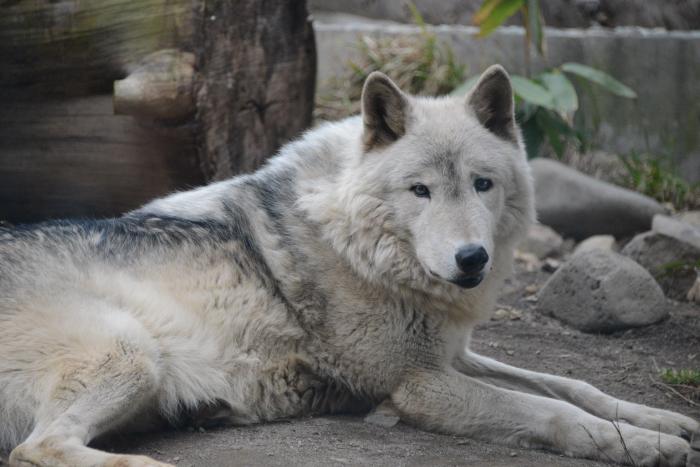 北海道ニュース Uhb Uhb 北海道文化放送 北海道ニュース Uhb Uhb 北海道文化放送