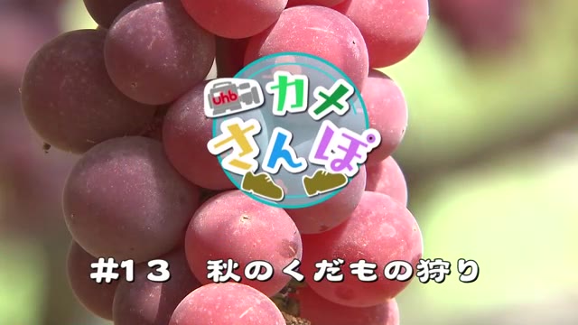 北海道ニュース Uhb Uhb 北海道文化放送