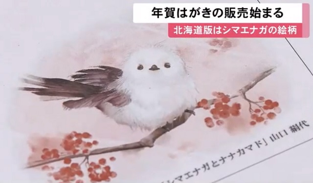 雪の妖精 シマエナガ】北海道に生息する小さくてカワイイ野鳥 ふわっ