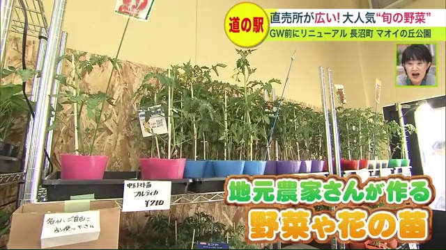 地元農家さんが作る野菜や花の苗