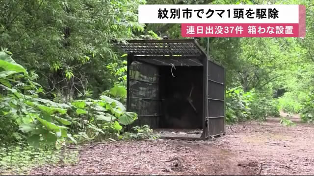 クマか捕獲された箱わな