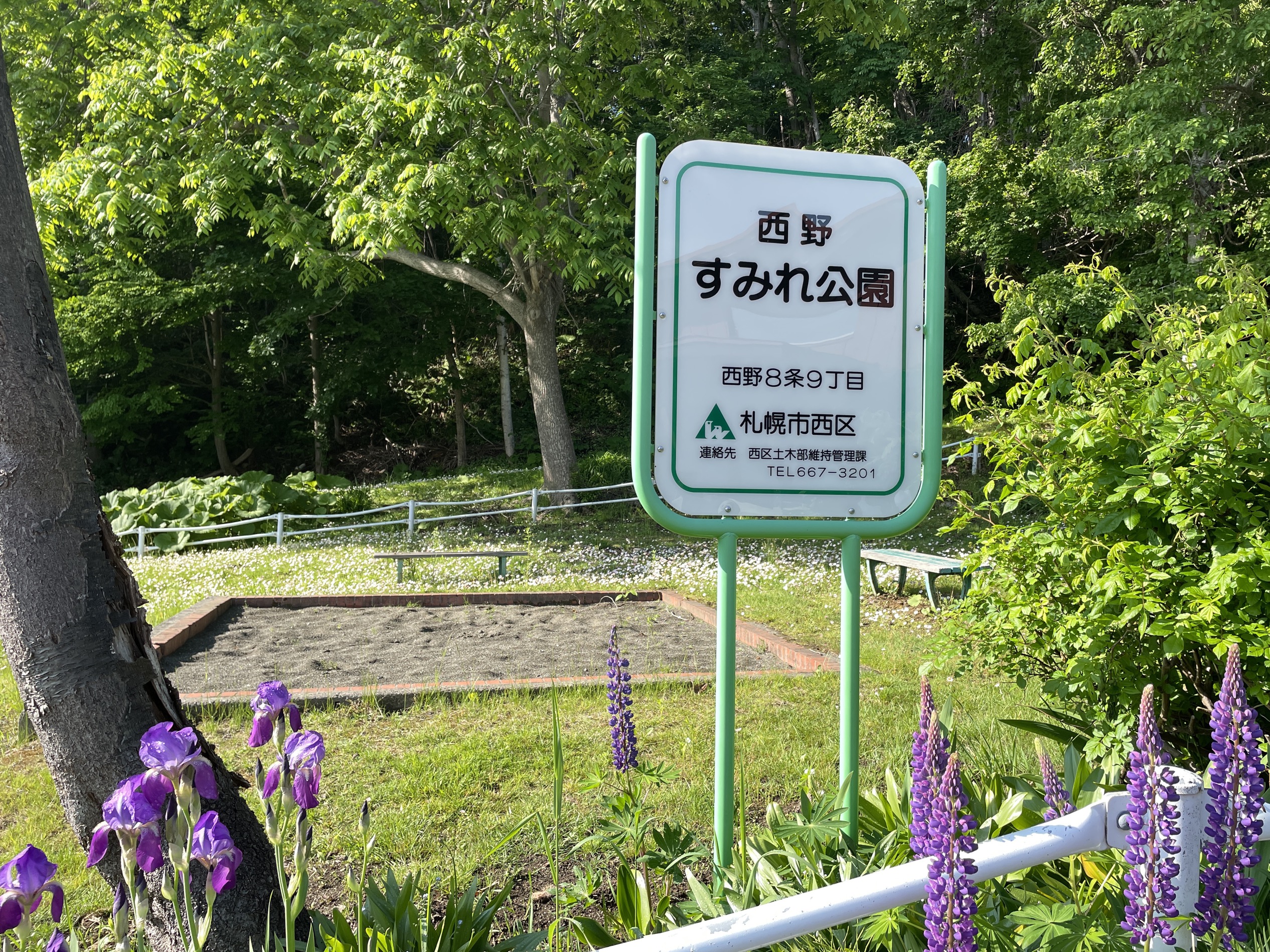 クマが目撃された公園