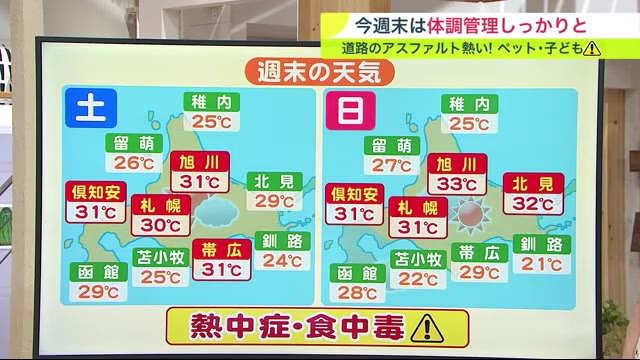 売場 木製ゴルフボールディスプレイラック 24個 ゴルフボール付き
