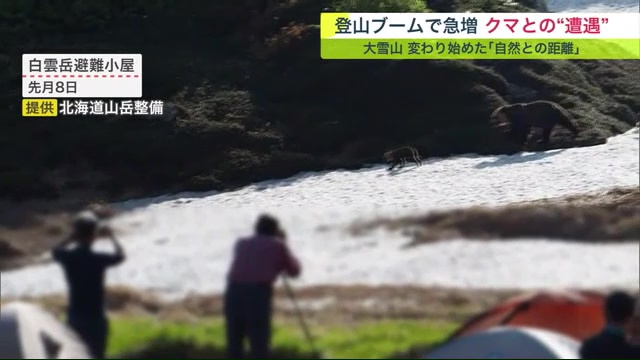 人もクマも双方を恐れなくなってきている（白雲岳避難小屋のテント場　2023年7月8日　提供：北海道山岳整備）