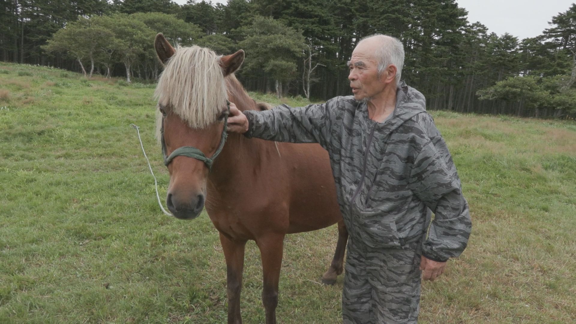 佐々木牧場　佐々木徳太郎さん（根室市）