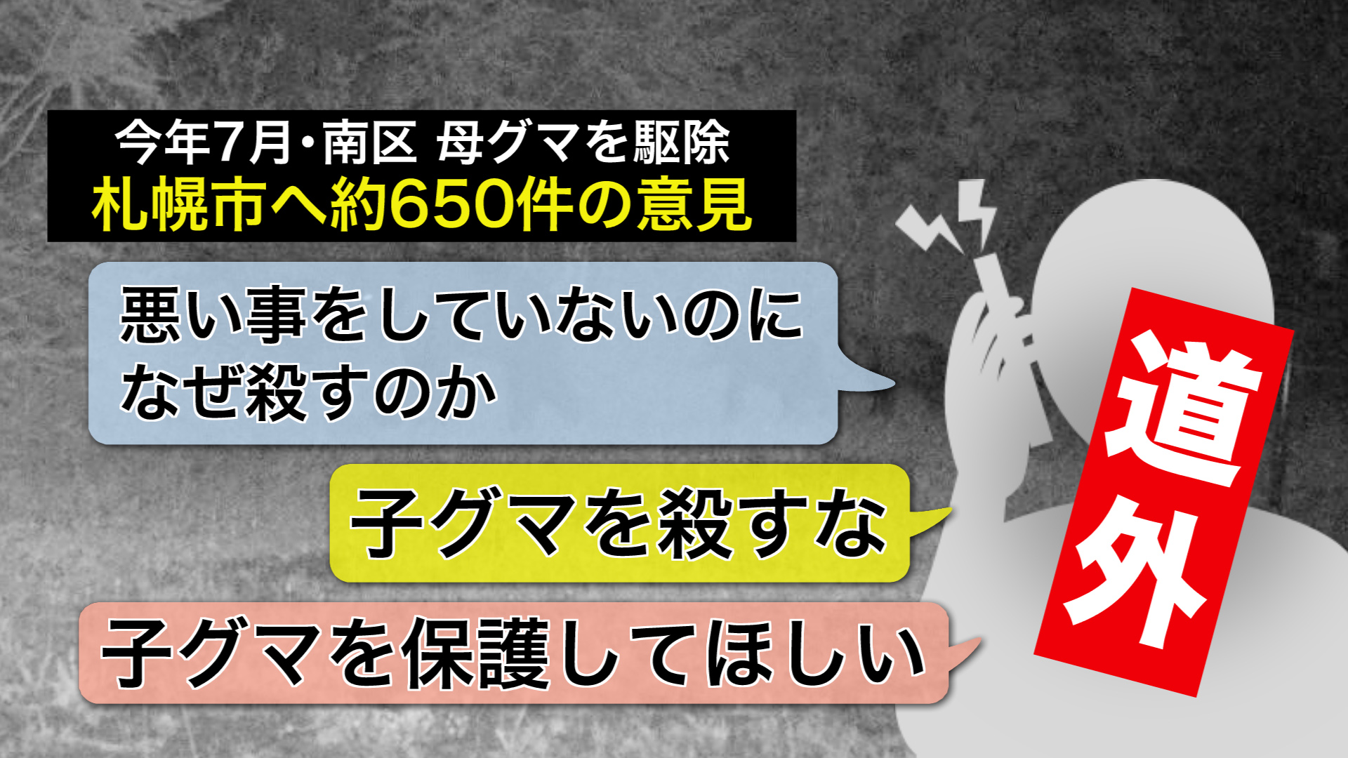 約650件の意見が寄せられた…中には苦情も