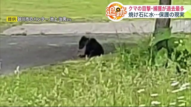 北海道砂川市の公園で見つかった子グマ