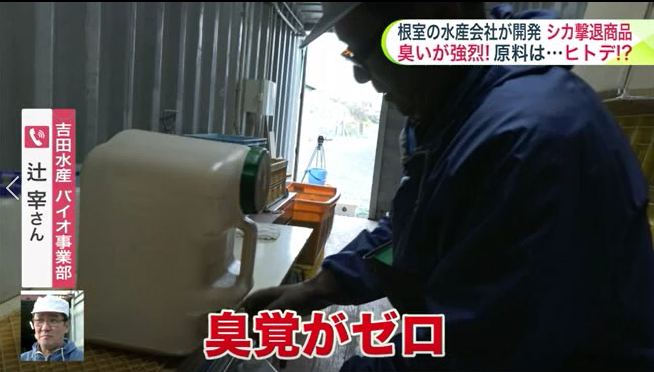 作業する吉田水産の辻さん。強烈な臭いのなか、どう開発しているかというと…