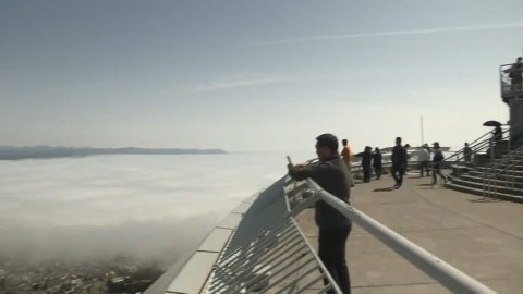 函館山も登山道が開通