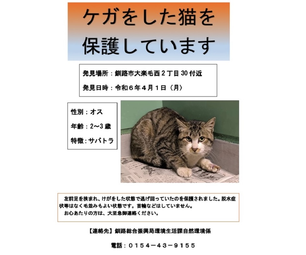 情報提供を呼びかけるチラシ（提供：釧路総合振興局 環境生活課 自然環境係）