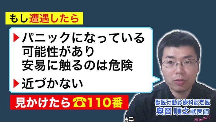 見かけても近づかないで！