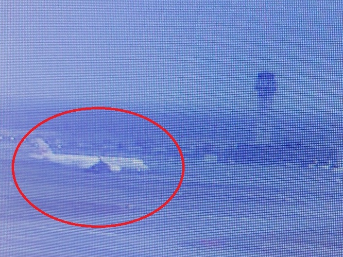 トラブルがあったJAL521便とみられる機体 （4月18日午後5時30分すぎ）