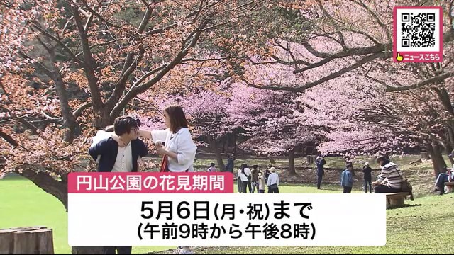 円山公園の