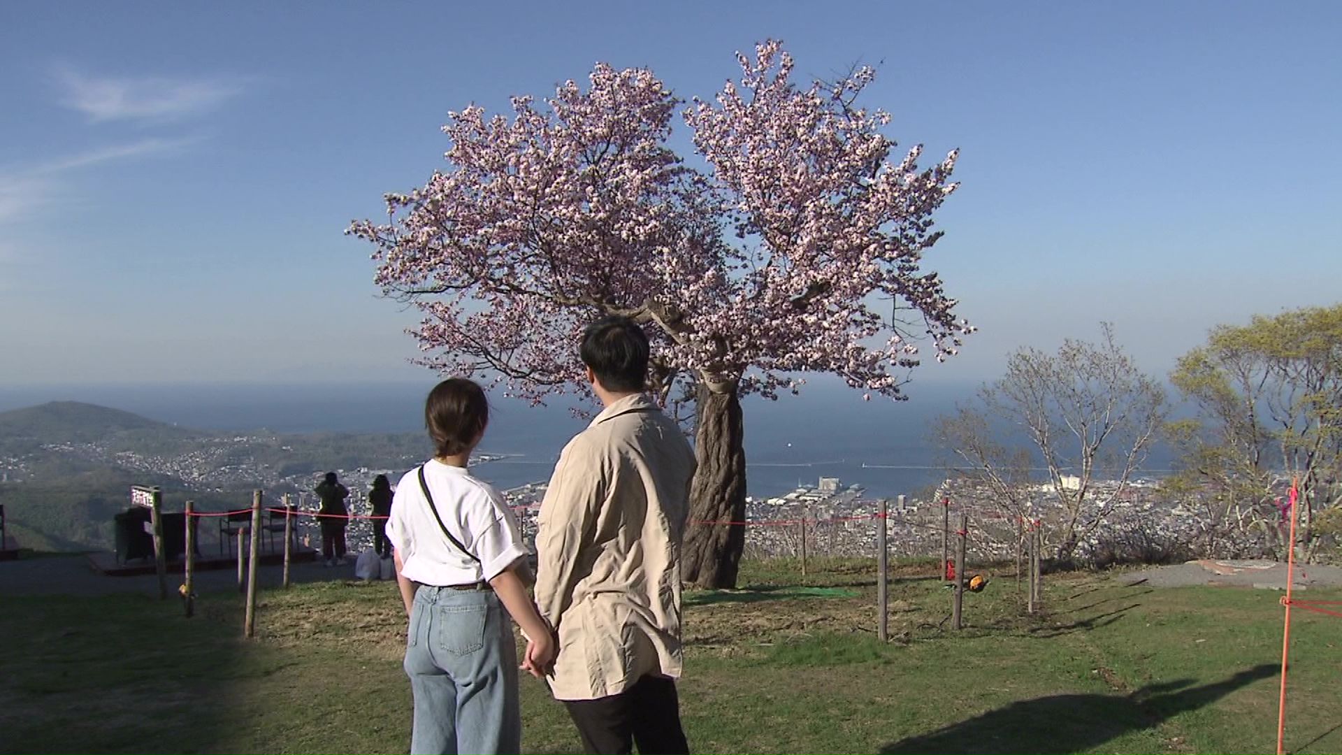 東京から来たカップル