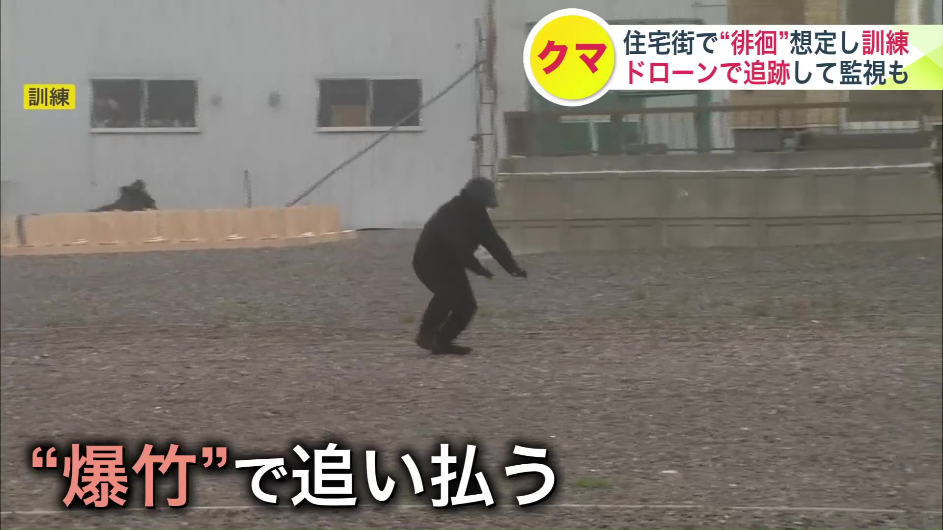 クマにふんした警察官…爆竹で追い払う