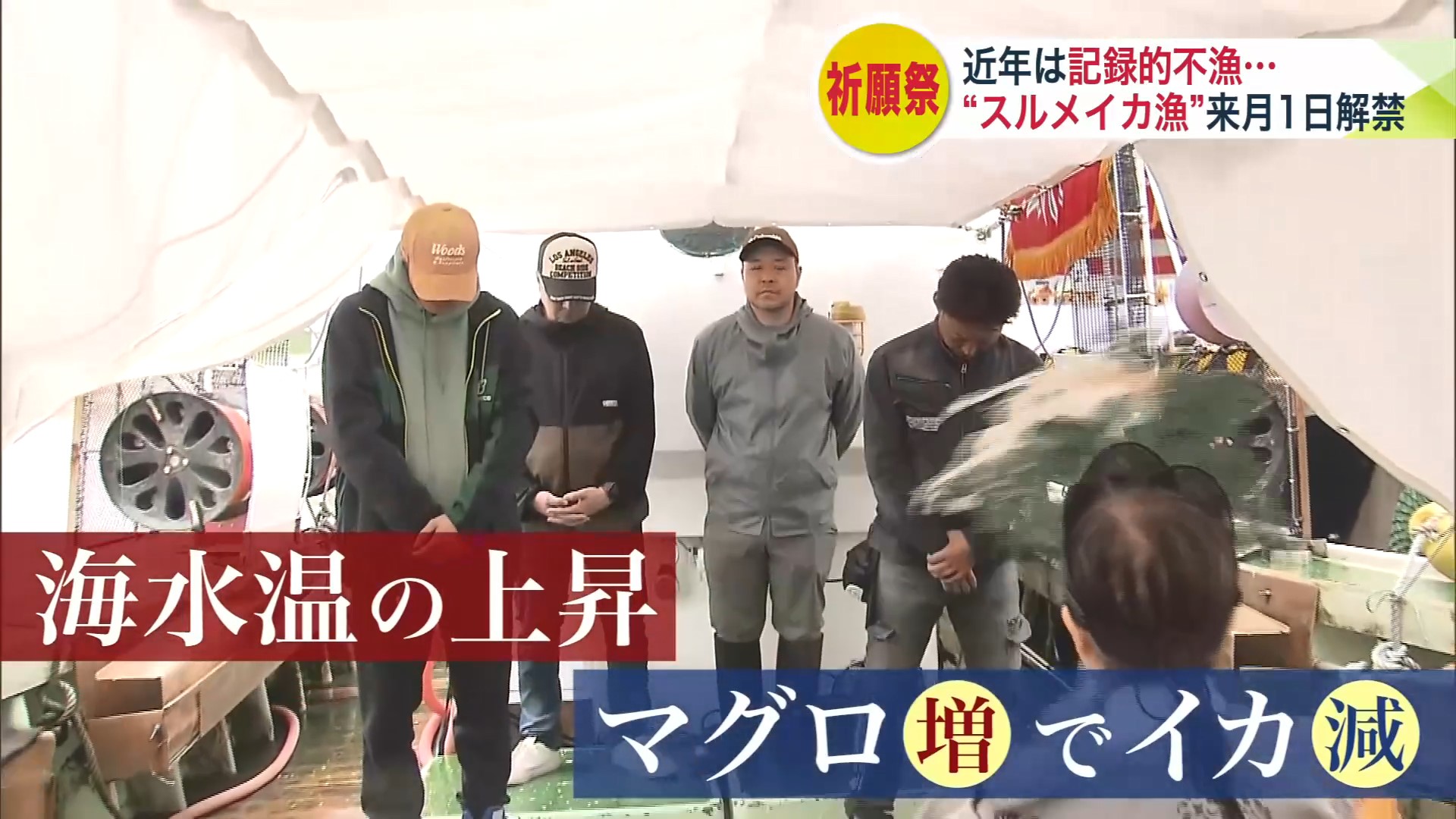 スルメイカ不漁の原因は…