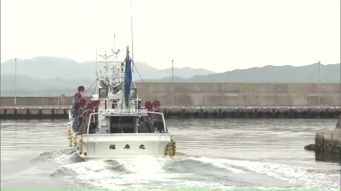 「パッとしないよ」記録的不漁の中…函館のスルメイカ漁