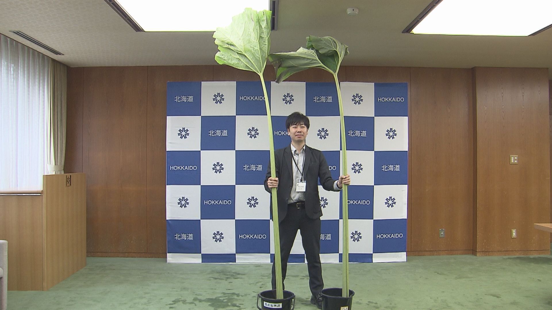 長さ2～3メートルになる「ラワンぶき」食べるとうまい！