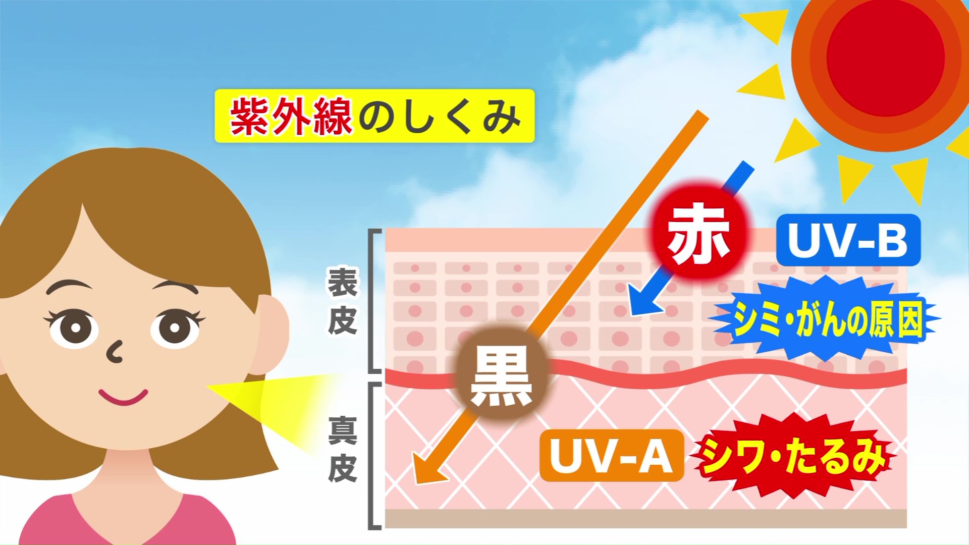波長の長いUVAと波長の短いUVB