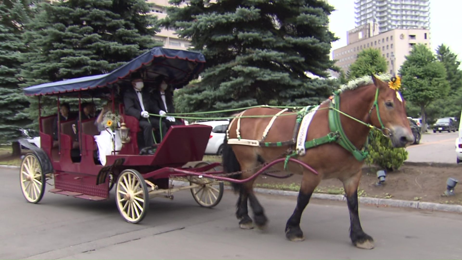 馬車は一般道を10分ほど闊歩