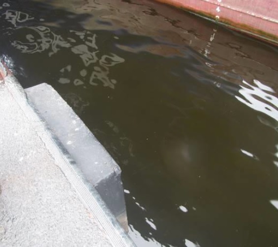 赤潮発生場所の 海面 呈色 状況（道のHPより）