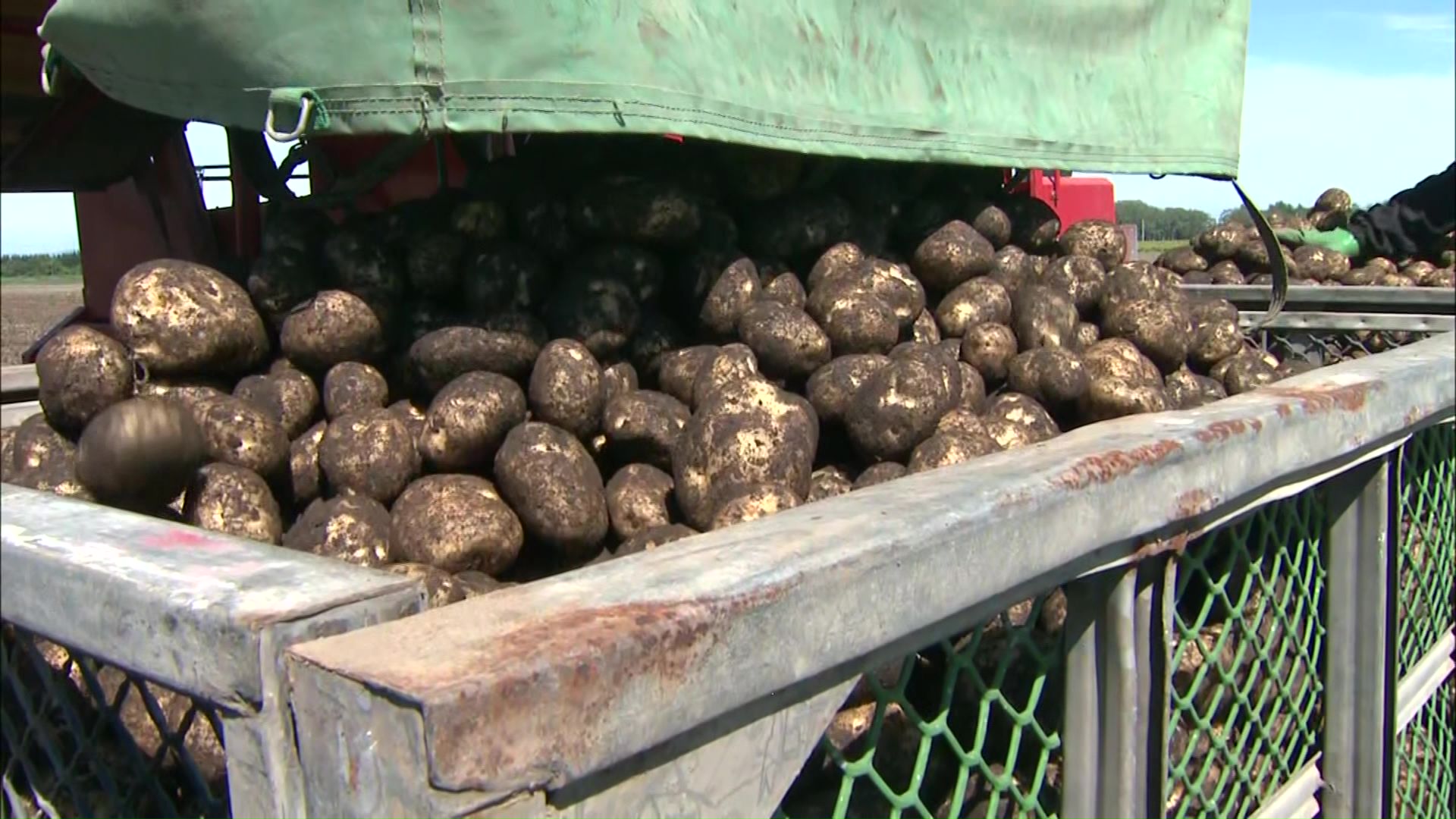 農産物の出荷への影響が心配