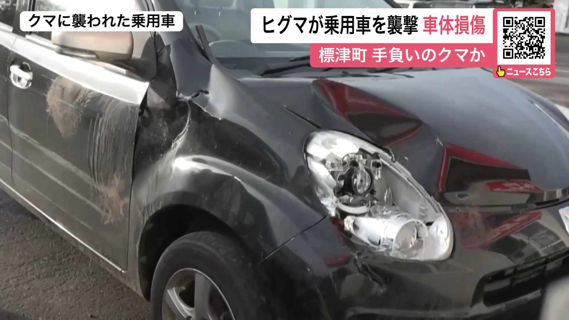 クマに襲撃された乗用車