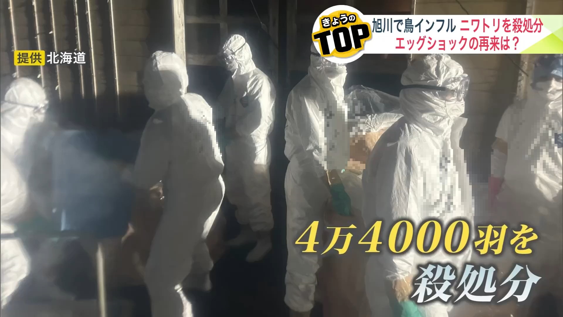 養鶏場での防疫作業(提供:北海道)