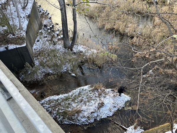 男性が発見された現場付近(札幌市)