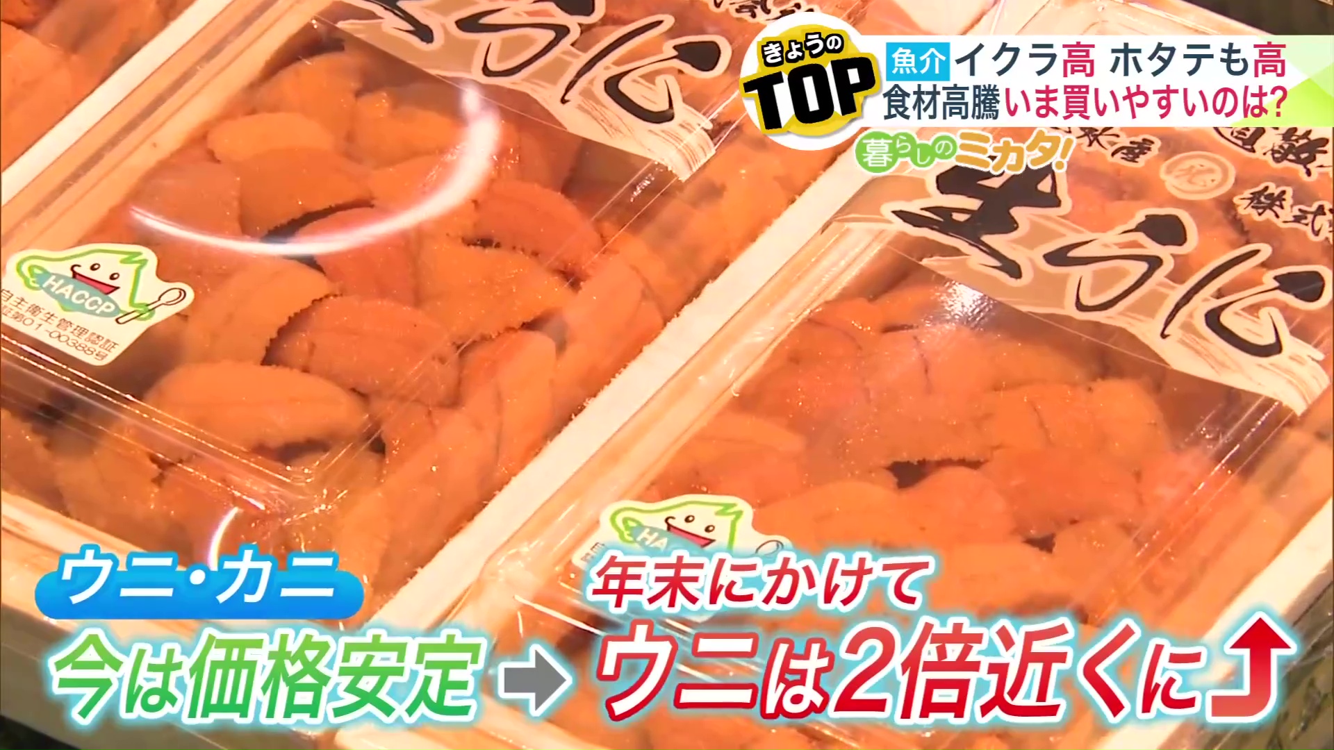 年末にかけて値上がりするウニ