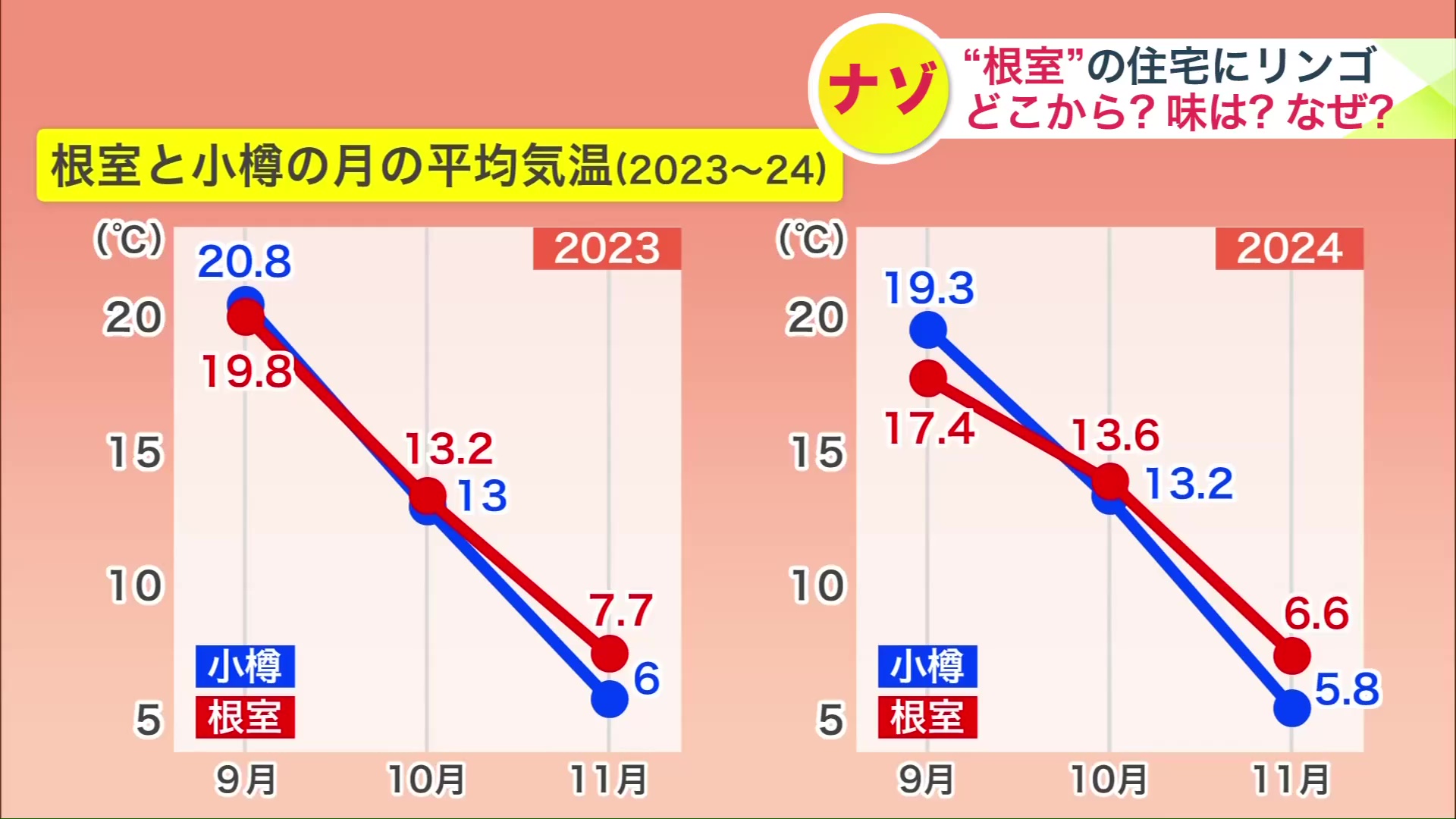 9月から11月までの小樽と根室の気温は類似傾向(2023年と2024年)