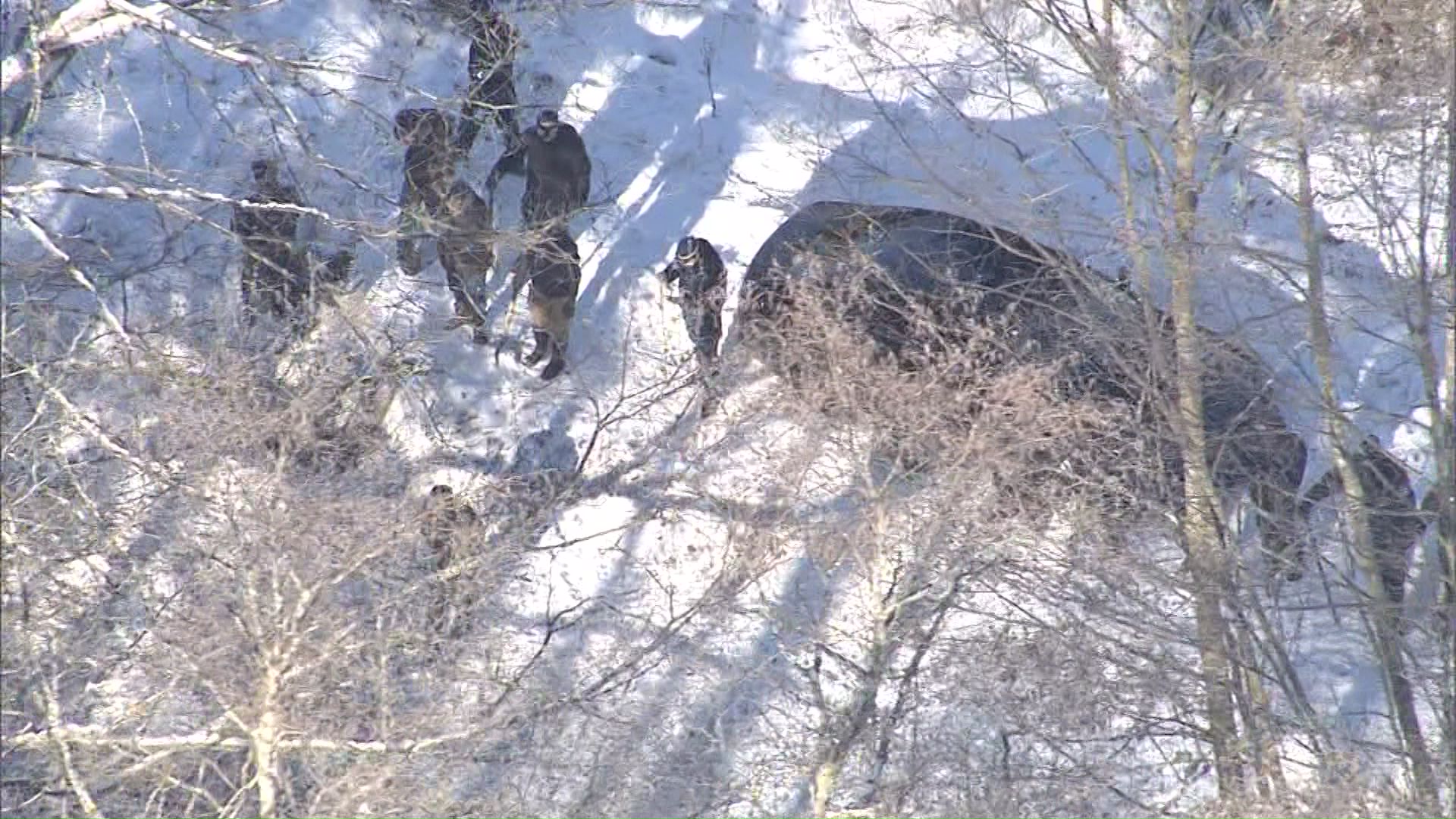 首を絞めて殺害・山林に遺棄