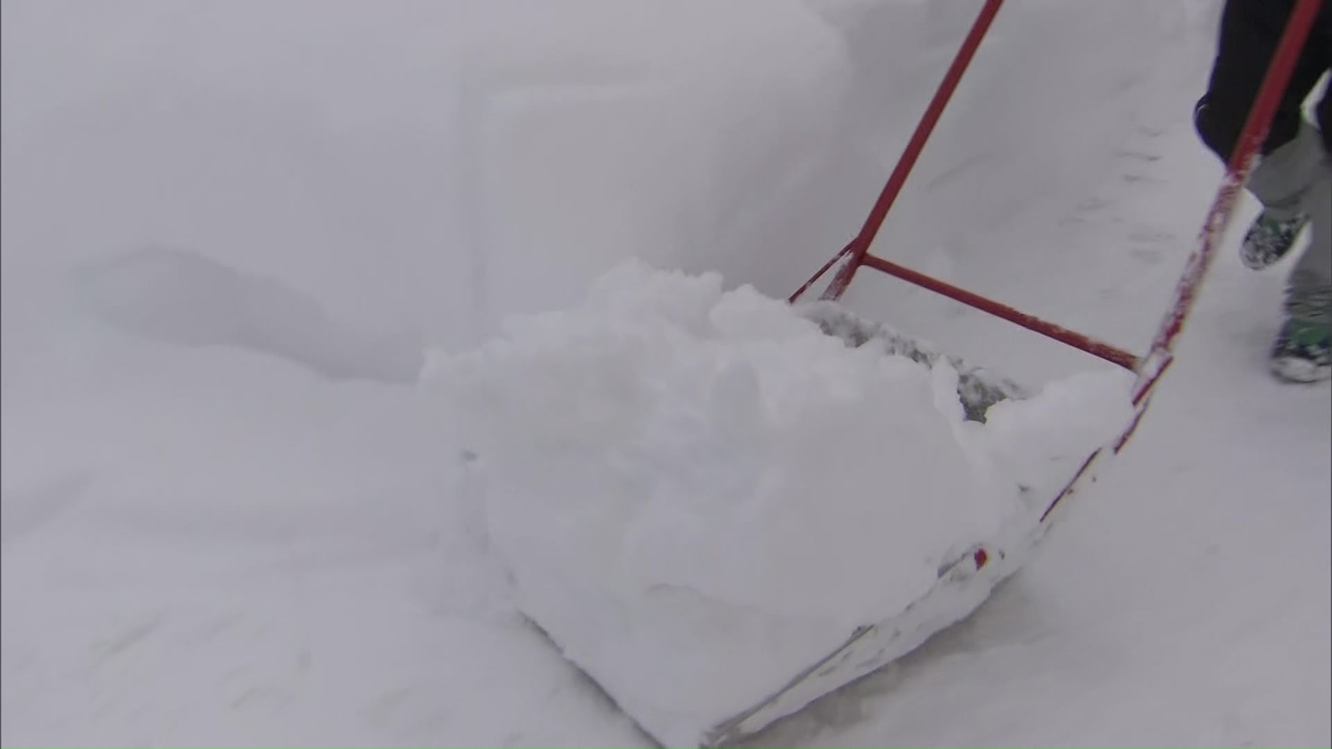 雪かきに追われる