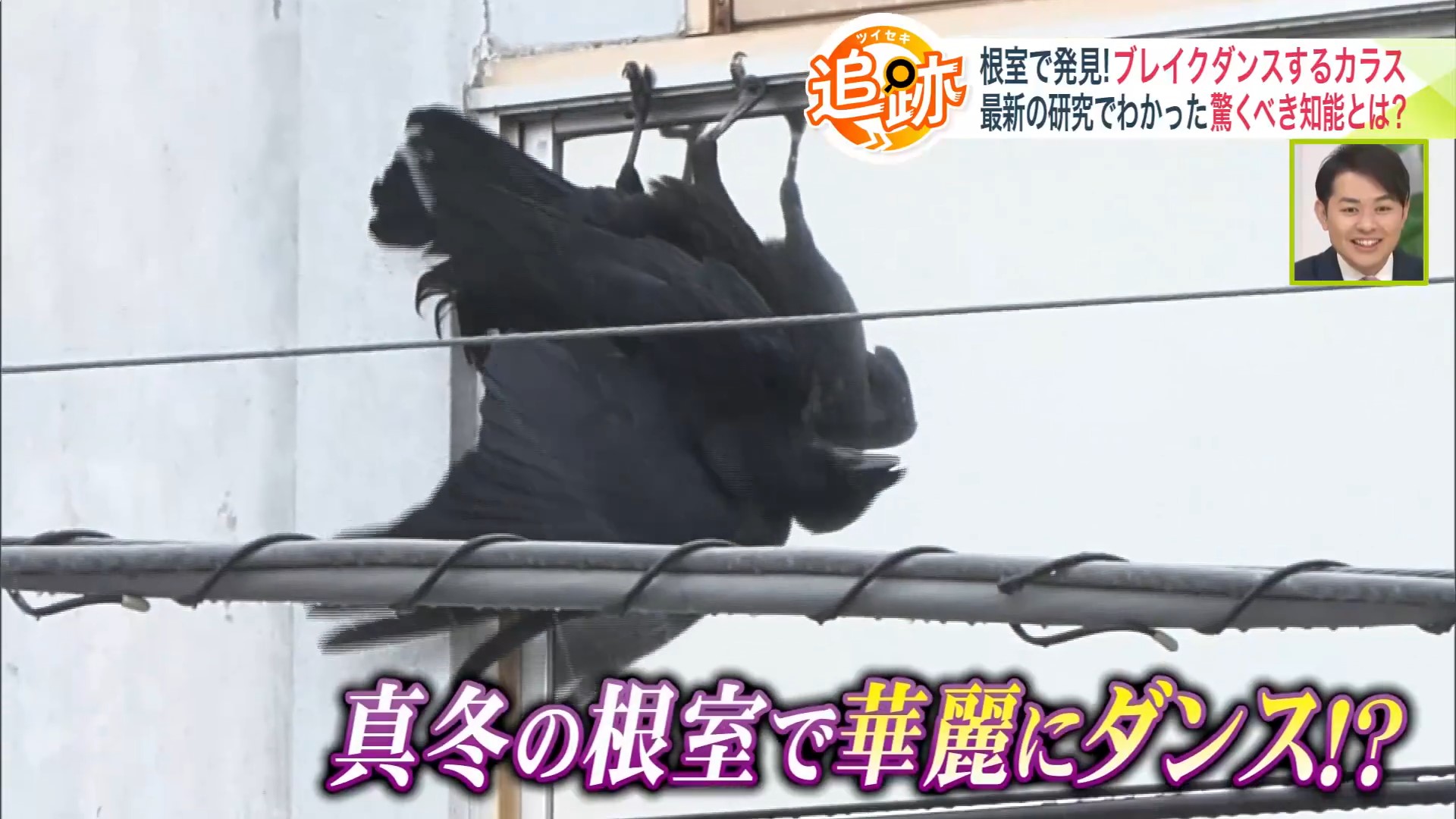 窓際で逆立ちして