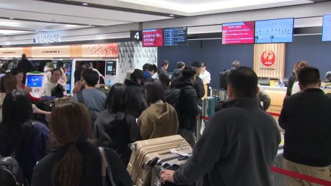 日本航空のカウンターは混雑(午前10時30分ごろ)