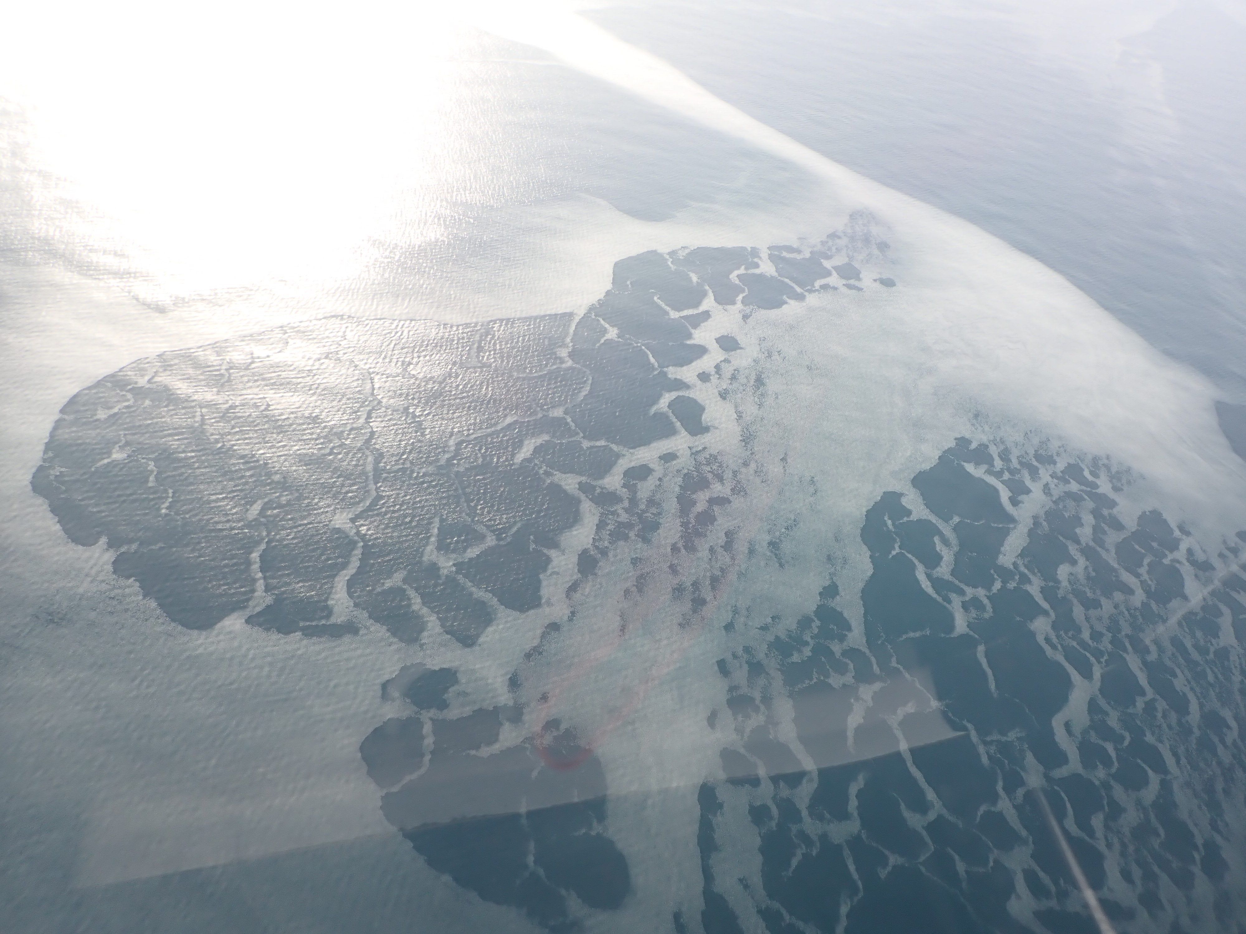今季航空機で初めて観測された流氷(提供:第一管区海上保安本部)