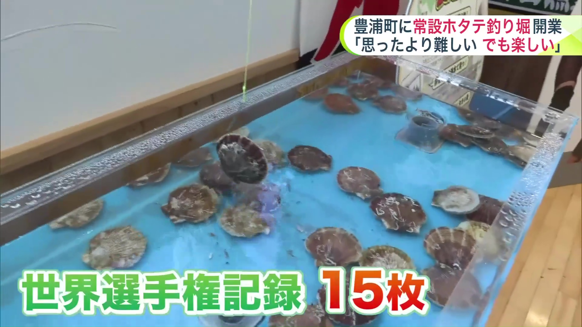 選手権大会の最高記録は15枚