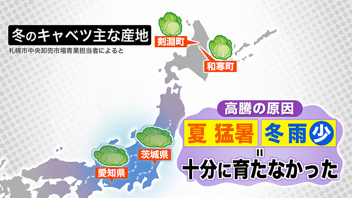 キャベツ高騰のワケは
