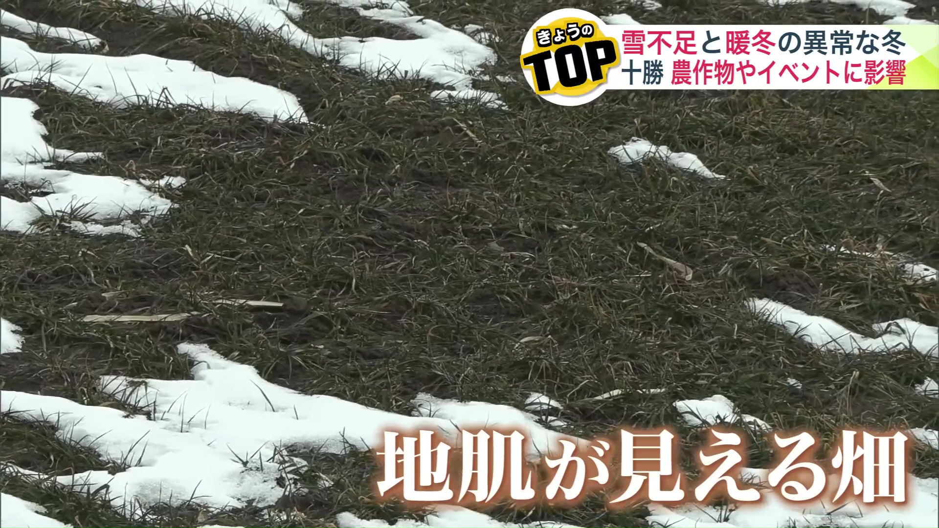 雪がほぼない帯広市