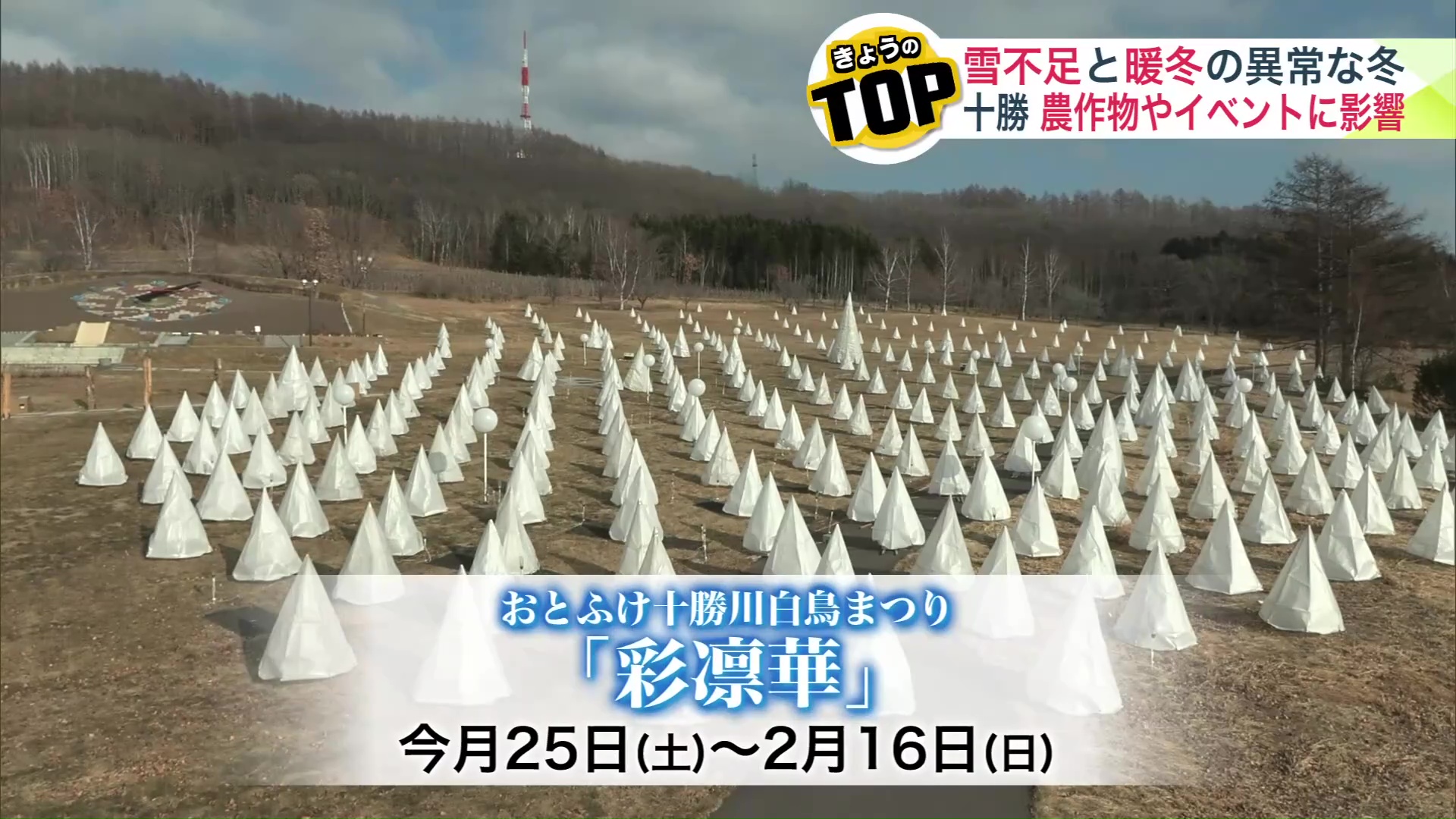 十勝のイベント「彩凛華」