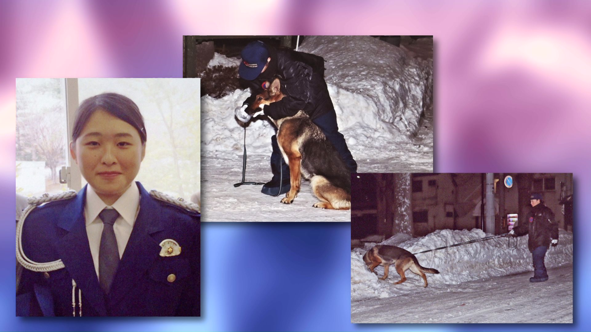 念願の警察犬係への配属