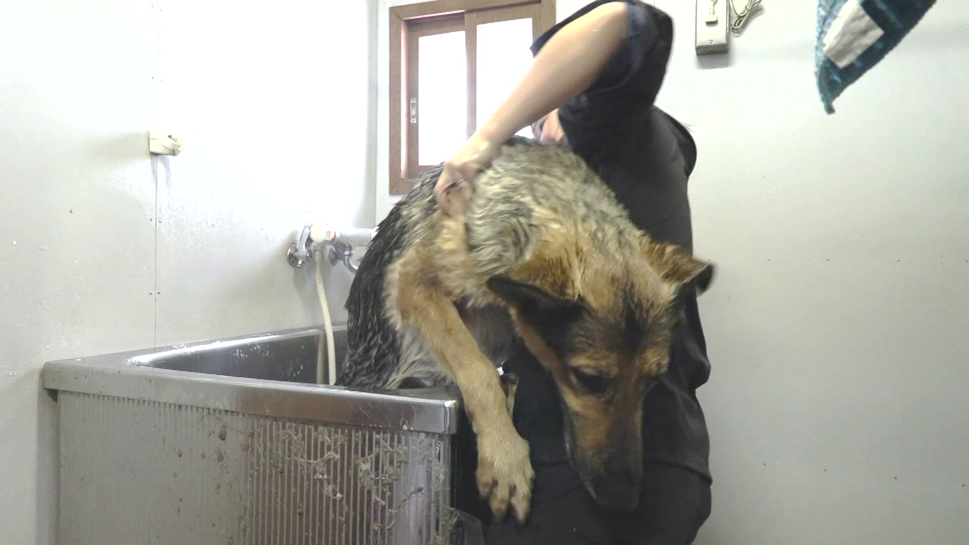 お風呂が苦手な一面も…