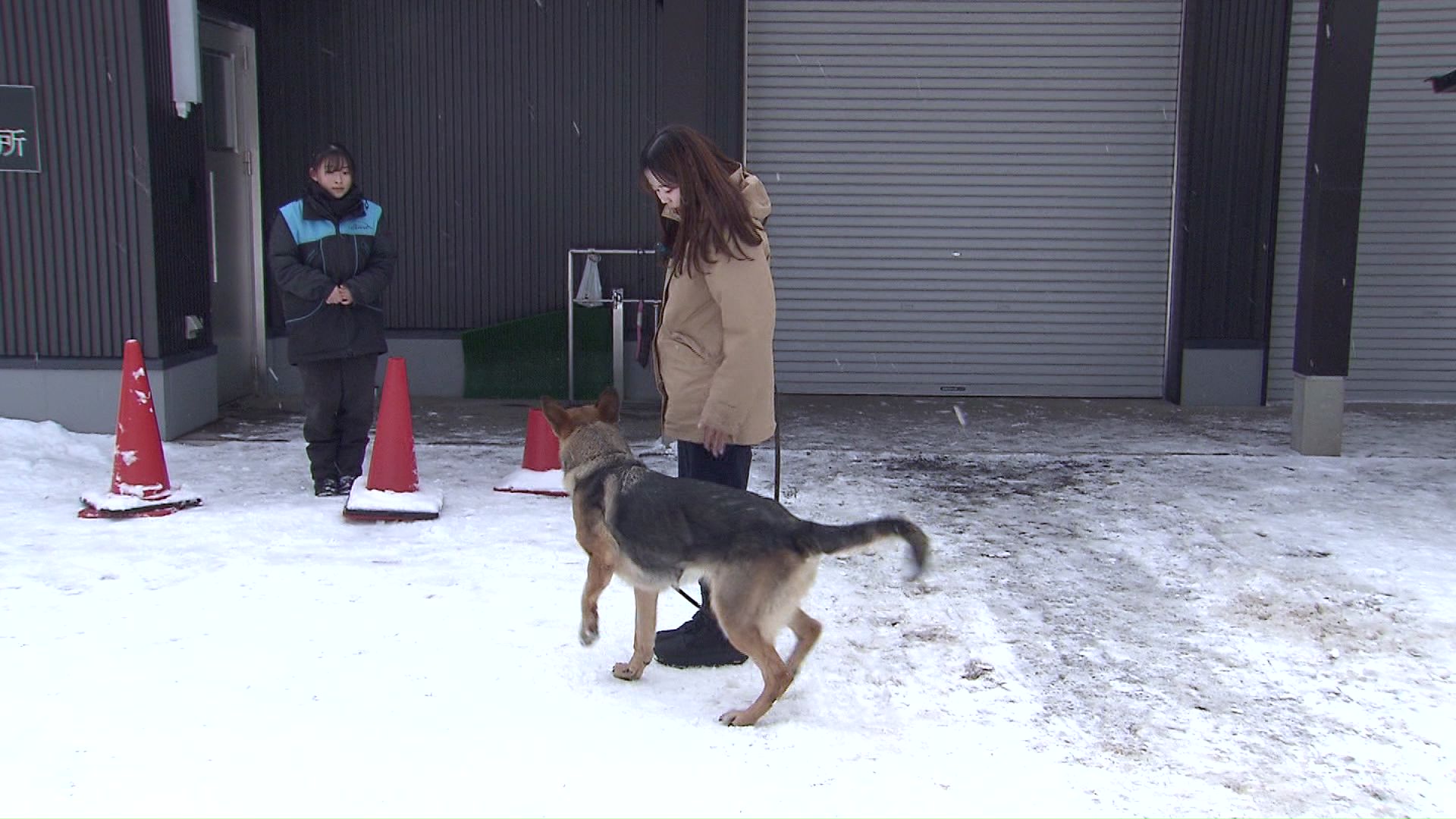 記者も挑戦するが…