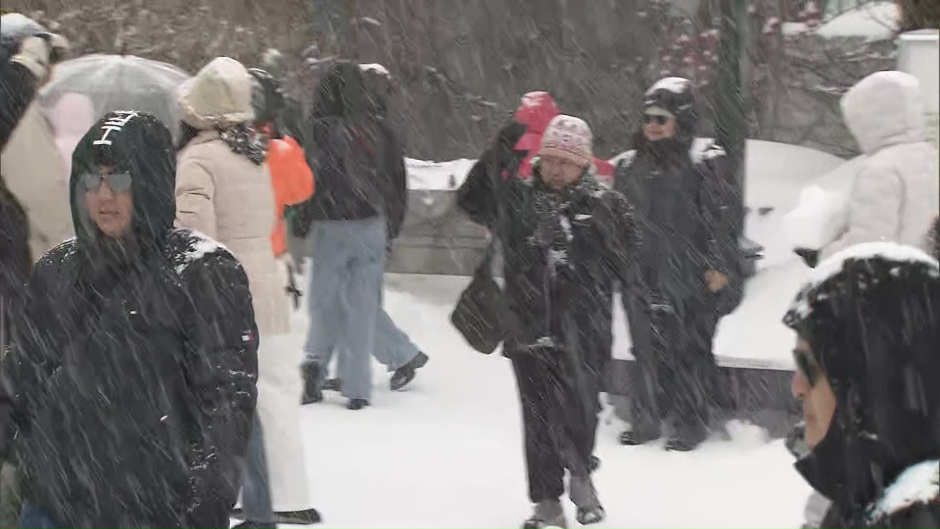 雪が降る小樽市