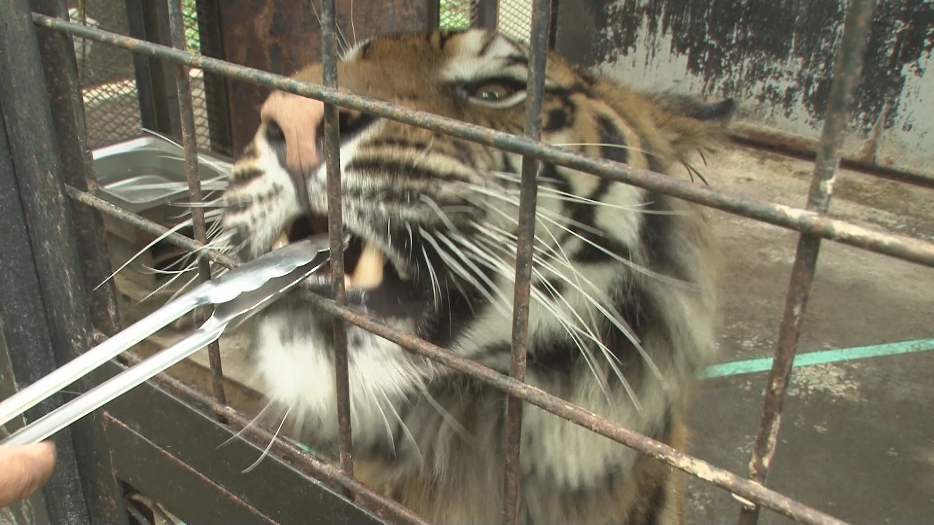 ノースサファリサッポロの園内(2021年)