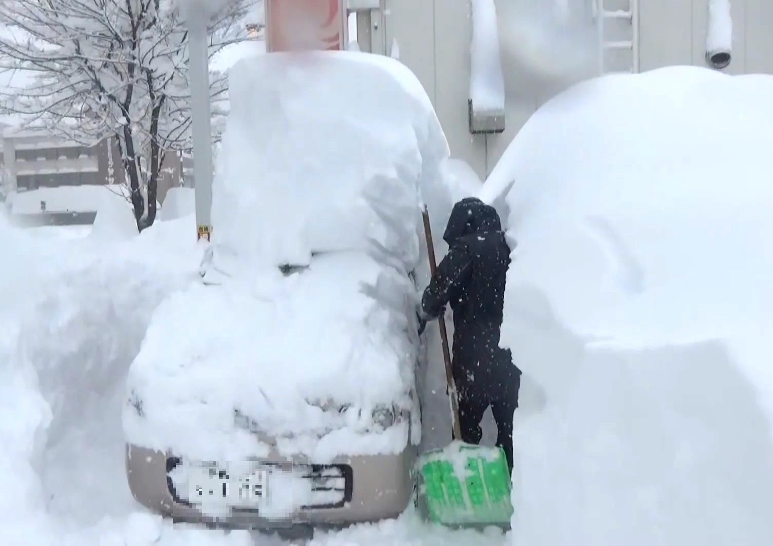 除雪しても車の上には大量の雪が…